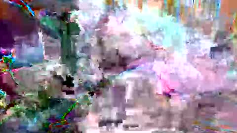 xixo6969 online show from February 27, 12:56 am