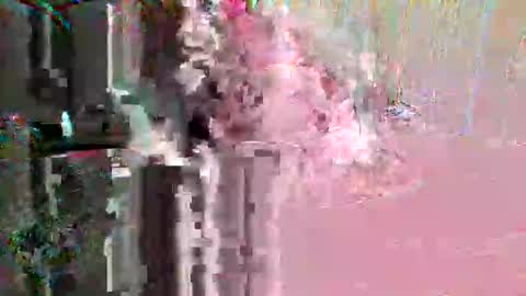 xixo6969 online show from February 6, 6:49 pm