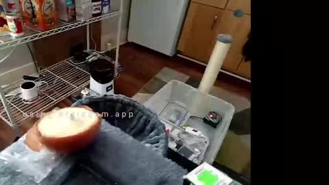 Snapshot of xstay_coldx chatting on February 10, 6:56 pm Johnny online show from February 10, 6:56 pm