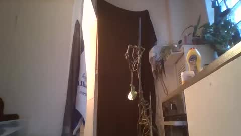 xxilikeassxx online show from February 7, 7:26 am