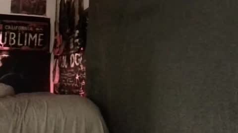 Snapshot of xxwhitefoxx chatting on March 8, 4:09 am David Fox online show from March 8, 4:09 am