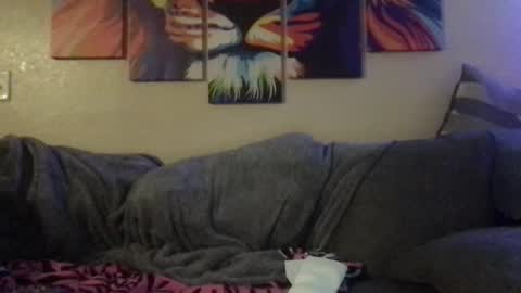 Horny dude D online show from February 23, 12:04 am