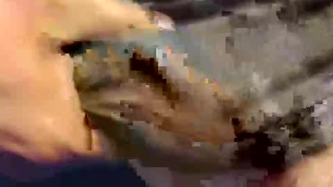 yellout22 online show from October 18, 12:37 am