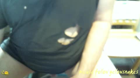 .     y e l l o w s n a k e s       . online show from February 8, 9:41 pm