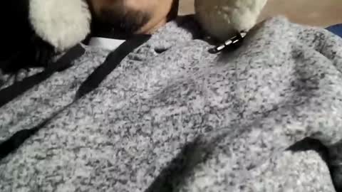 Yinyin55 online show from January 20, 6:10 am