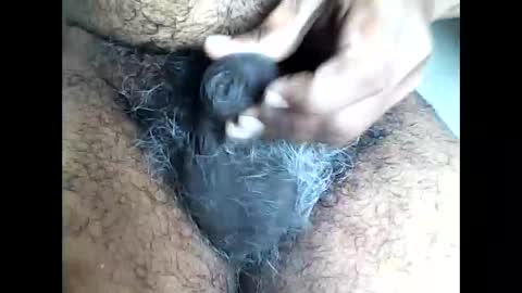 Yono online show from September 15, 4:47 am