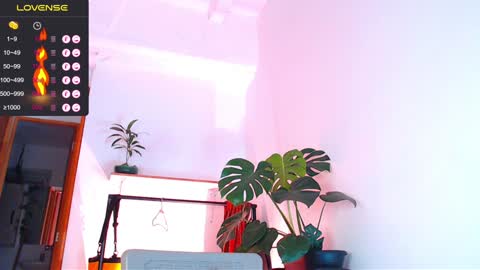 Enzo online show from January 6, 3:09 am