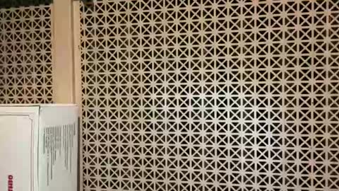 Colorado Guy Straight online show from December 25, 12:48 am