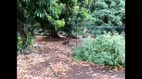 youllfall4me online show from October 6, 3:11 am