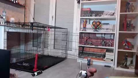 Owned by Hell On Heels online show from February 19, 7:10 pm