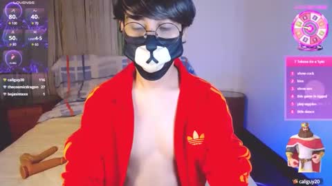 the puppy boy online show from February 15, 4:25 am