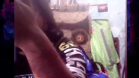 Zatth online show from March 27, 5:33 am