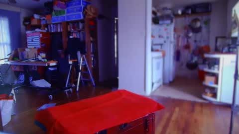 zed_alpha online show from January 2, 9:50 pm