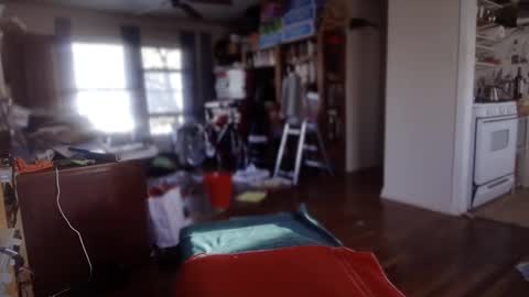 zed_alpha online show from December 28, 10:34 pm