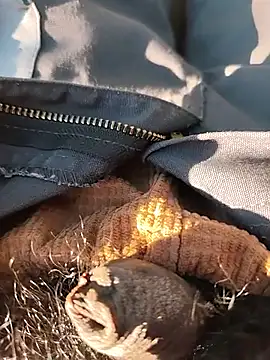 Nishu12356g online show from September 20, 2:39 pm