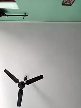 ZIMMY25 online show from November 18, 3:54 am