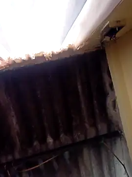 Snapshot of dantero chatting on February 27, 3:48 pm dantero online show from February 27, 3:48 pm