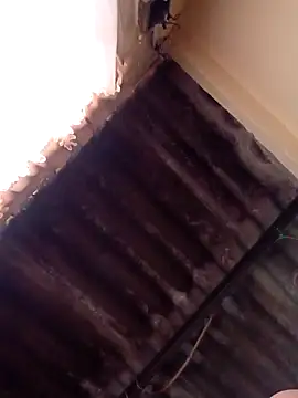 Snapshot of dantero chatting on January 13, 4:51 pm dantero online show from January 13, 4:51 pm