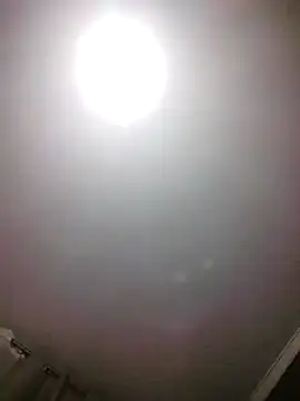 OwlosionyMisiek1991 online show from December 5, 1:35 am