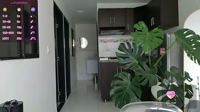 grey   27 online show from November 16, 1:02 pm