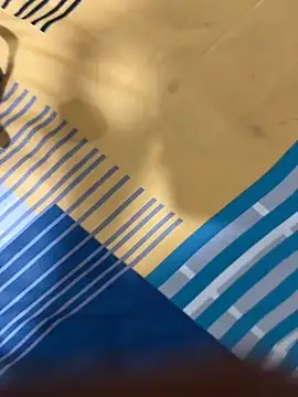 rajapo 1 online show from November 16, 3:58 pm