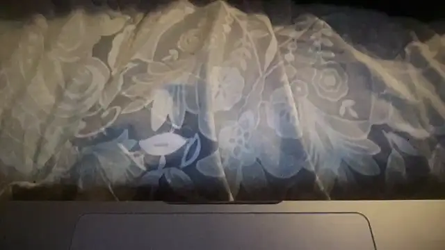 Dogz n daugthers online show from March 21, 12:36 am