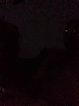 curvedicbandit6 2 online show from February 19, 4:20 am