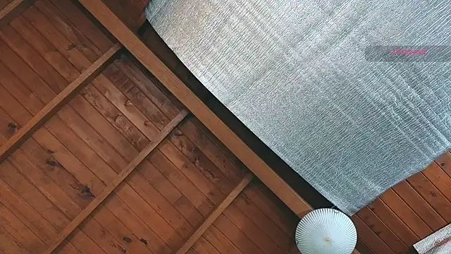 SilvaBranko online show from March 27, 9:05 pm