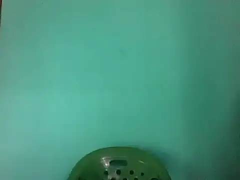 Javan  online show from January 21, 9:17 am