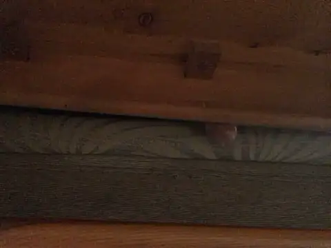 Dicksexhandjob online show from February 21, 1:33 pm