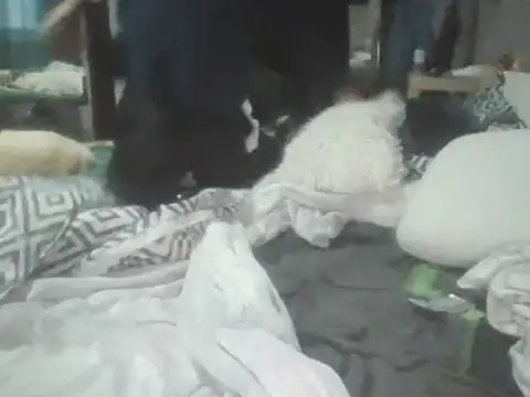 Prehistorixxx2686 online show from March 12, 4:56 pm