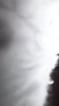 Ajhustler1xh online show from January 9, 11:48 am