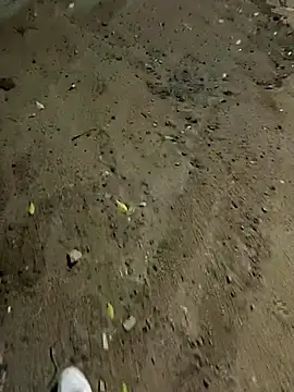 Snapshot of PlayBoy0299 chatting on October 25, 7:04 pm PlayBoy0299 online show from October 25, 7:04 pm