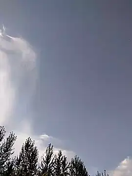 FloppyPickle4u online show from September 13, 1:06 am