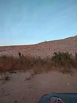 FloppyPickle4u online show from February 2, 2:56 pm