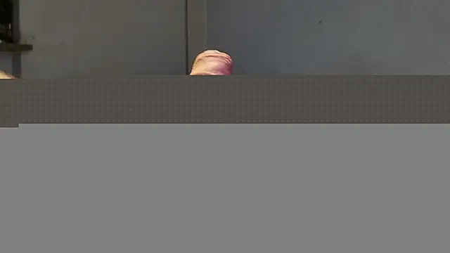 Alphapimmelchen online show from July 5, 3:32 am