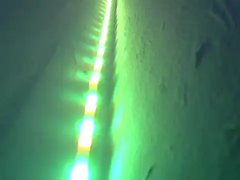 nine9inchdonn online show from October 10, 3:17 pm