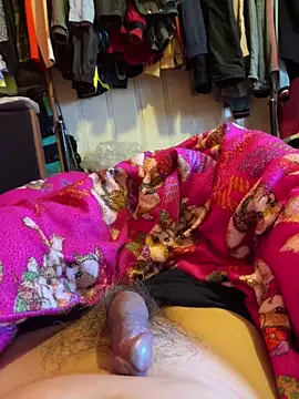 Snapshot of A6229 chatting on January 29, 11:46 pm A6229 online show from January 29, 11:46 pm