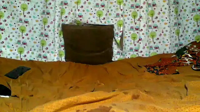 little  joy online show from February 22, 7:43 am