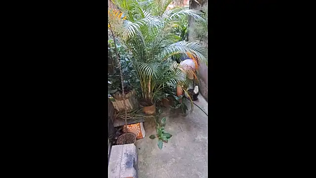 sexyboycolombi4 online show from January 23, 1:24 pm