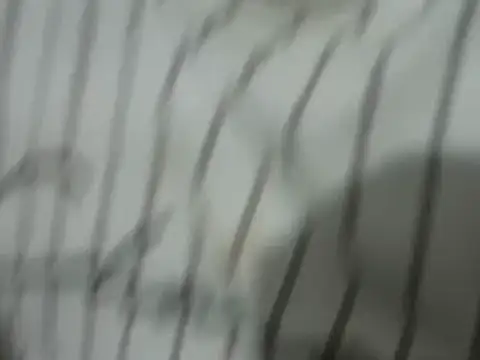 VipinSoni online show from March 8, 5:03 am