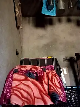 Yasha 14C Creator online show from January 11, 5:44 am