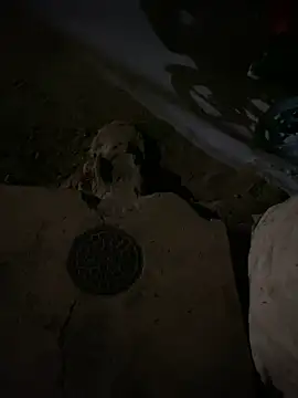 nowex18 online show from March 6, 6:52 am