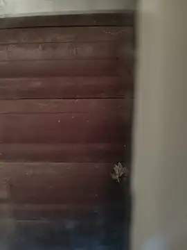 hardgetsex online show from October 4, 4:01 pm