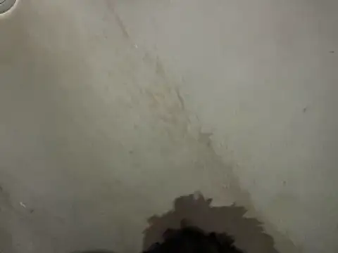 SlimeCrownzOut5 online show from November 16, 4:09 pm