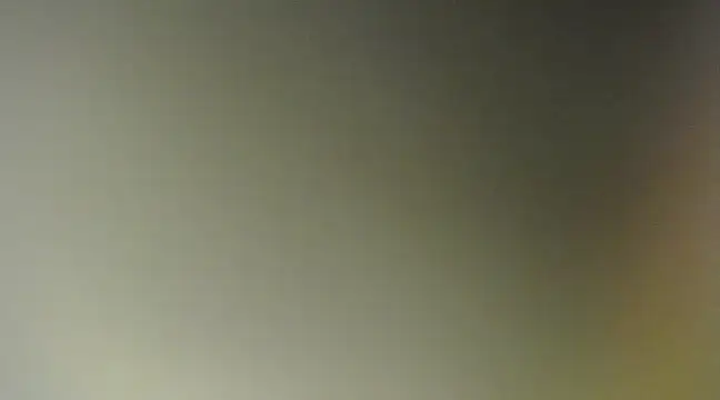 Snapshot of Lovensetest chatting on March 11, 8:52 am Lovensetest online show from March 11, 8:52 am