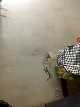 funpharoh1 online show from November 10, 7:41 pm