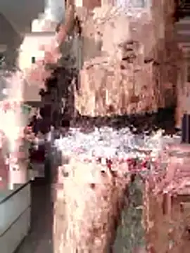 McdyllanXX online show from February 15, 12:35 pm