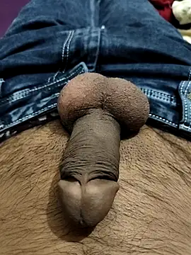 Snapshot of PAWARXX_0 chatting on September 30, 8:51 am PAWARXX 0 online show from September 30, 8:51 am