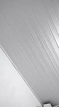 NumeralChevre online show from February 23, 3:29 am